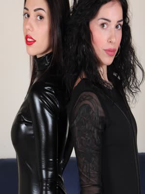 Thumbnail for Image 1